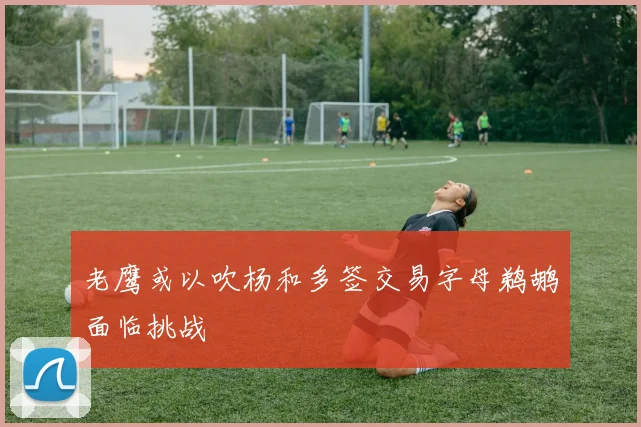 老鹰或以吹杨和多签交易字母鹈鹕面临挑战