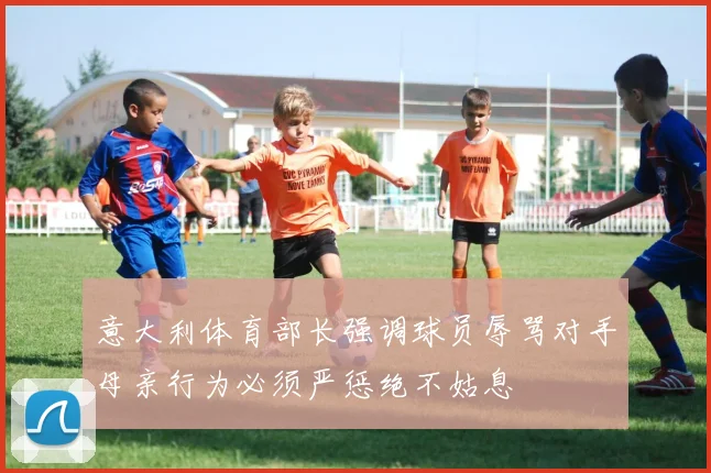 意大利体育部长强调球员辱骂对手母亲行为必须严惩绝不姑息