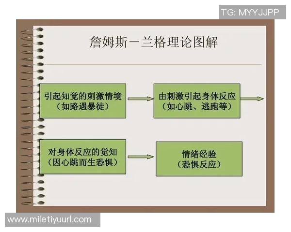 詹姆斯分享家庭教育经验强调对不同子女的沟通方式与领导力运用